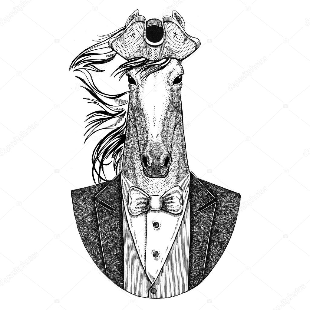 Horse, hoss, knight, steed, courser Animal wearing cocked hat, tricorn Hand drawn image for tattoo, t-shirt, emblem, badge, logo, patches