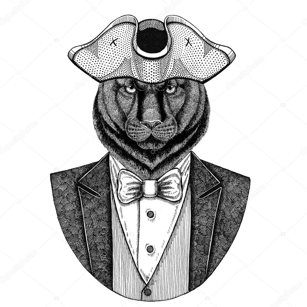 Panther, Puma, Cougar, Wild cat Animal wearing cocked hat, tricorn Hand drawn image for tattoo, t-shirt, emblem, badge, logo, patches