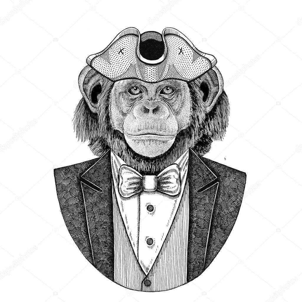 Chimpanzee Monkey Animal wearing cocked hat, tricorn Hand drawn image for tattoo, t-shirt, emblem, badge, logo, patch