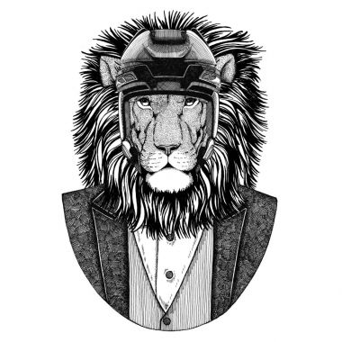 Vahşi aslan hayvan papyon ve hokey kask ya da aviatior kask ile ceket giyiyor. Zarif hokey oyuncusu. Dövme, t-shirt, amblem, rozet, logo, yama için görüntü