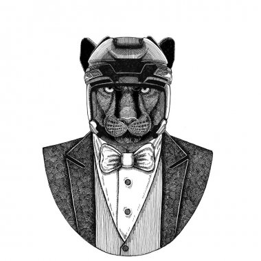 Panter Puma Cougar vahşi kedi hayvan giyen ceketle papyon ve hokey kask ya da aviatior kask. Zarif hokey oyuncusu. Dövme, t-shirt, amblem, rozet, logo, yama için görüntü
