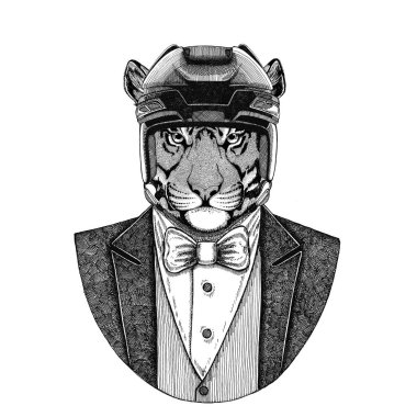 Vahşi Kaplan papyon ve hokey kask ya da aviatior kask ile hayvan giyen ceket. Zarif hokey oyuncusu. Dövme, t-shirt, amblem, rozet, logo, yama için görüntü