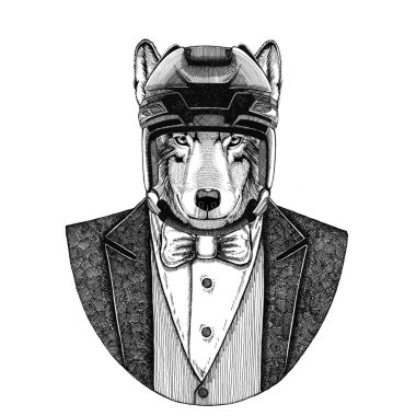 Kurt, köpek hayvan papyon ve hokey kask ya da aviatior kask giyiyor ceketle. Zarif hokey oyuncusu. Dövme, t-shirt, amblem, rozet, logo, yama için görüntü