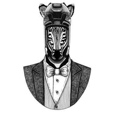 Zebra, at hayvan papyon ve hokey kask ya da aviatior kask ile ceket giyiyor. Zarif hokey oyuncusu. Dövme, t-shirt, amblem, rozet, logo, yama için görüntü