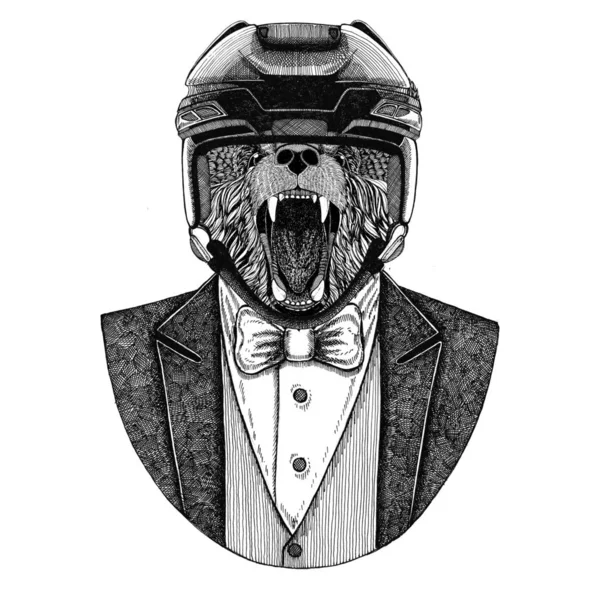 Urso castanho Urso russo Casaco de uso animal com gravata borboleta e capacete de hóquei ou capacete aviador. Jogador de hóquei elegante. Imagem para tatuagem, t-shirt, emblema, emblema, logotipo, remendo — Fotografia de Stock