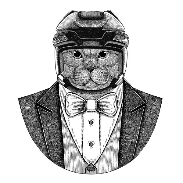 Gato Brithish Gato doméstico Casaco de uso animal com gravata borboleta e capacete de hóquei ou capacete aviador. Jogador de hóquei elegante. Imagem para tatuagem, t-shirt, emblema, emblema, logotipo, remendo — Fotografia de Stock
