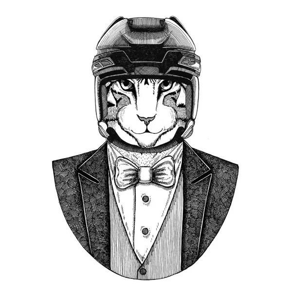 Imagem de gato doméstico Jaqueta de uso animal com gravata borboleta e capacete de hóquei ou capacete aviador. Jogador de hóquei elegante. Imagem para tatuagem, t-shirt, emblema, emblema, logotipo, remendo — Fotografia de Stock
