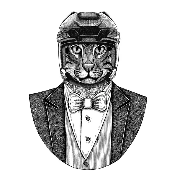 Άγρια γάτα αλιεία γάτα ζώων φορώντας μπουφάν με παπιγιόν και χόκεϋ κράνος ή aviatior κράνος. Κομψό χόκεϊ παίκτης. Εικόνας για τατουάζ, t-shirt, έμβλημα, σήμα, λογότυπο, patch — Φωτογραφία Αρχείου