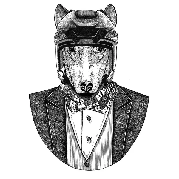 Hond voor t-shirt ontwerp dierlijke dragen jas met ' bow-tie en hockey helm of aviatior helm. Elegante hockeyer. Afbeelding voor tattoo, t-shirt, embleem, badge, logo, patch — Stockfoto