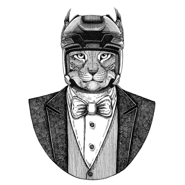 Wilde kat, Lynx, Bobcat, draf dier dragen vest met ' bow-tie en hockey helm of aviatior helm. Elegante hockeyer. Afbeelding voor tattoo, t-shirt, embleem, badge, logo, patch — Stockfoto