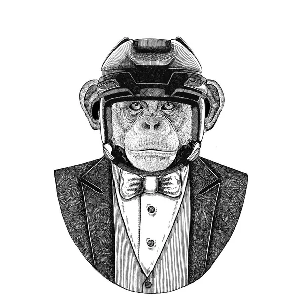 Chimpanzé, Macaco, Macaco Casaco de animal com gravata borboleta e capacete de hóquei ou capacete aviador. Jogador de hóquei elegante. Imagem para tatuagem, t-shirt, emblema, emblema, logotipo, remendo — Fotografia de Stock