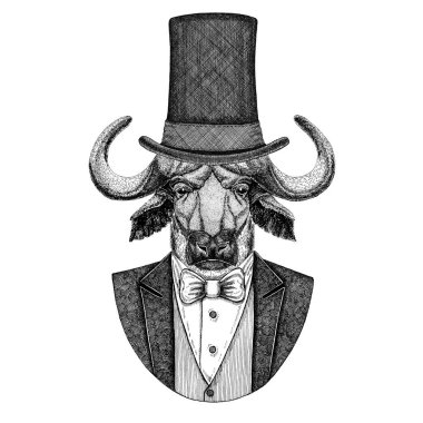Buffalo, boğa, boğa. Papyon ve ipek şapka, kunduz şapka, silindir şapka ile ceket hayvan. Zarif vintage hayvan. Dövme, t-shirt, amblem, rozet, logo, yama için görüntü