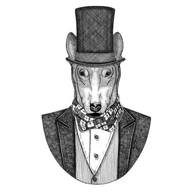 Bullterrier, köpek, boğa korkunç. Papyon ve ipek şapka, kunduz şapka, silindir şapka ile ceket hayvan. Zarif vintage hayvan. Dövme, t-shirt, amblem, rozet, logo, yama için görüntü