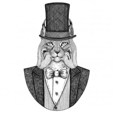 Vaşak, Bobcat, tırıs, vahşi kedi. Papyon ve ipek şapka, kunduz şapka, silindir şapka ile ceket hayvan. Zarif vintage hayvan. Dövme, t-shirt, amblem, rozet, logo, yama için görüntü