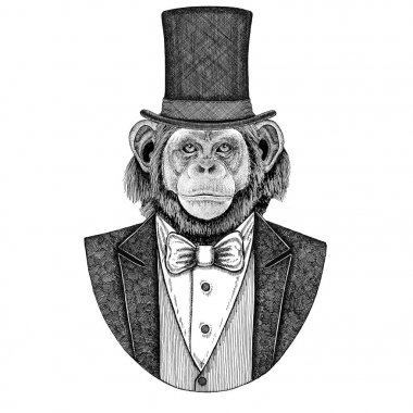 Şempanze, maymun. Papyon ve ipek şapka, kunduz şapka, silindir şapka ile ceket hayvan. Zarif vintage hayvan. Dövme, t-shirt, amblem, rozet, logo, yama için görüntü
