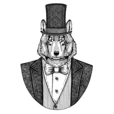 Kurt, köpek. Papyon ve ipek şapka, kunduz şapka, silindir şapka ile ceket hayvan. Zarif vintage hayvan. Dövme, t-shirt, amblem, rozet, logo, yama için görüntü
