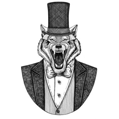 Kurt, köpek. Papyon ve ipek şapka, kunduz şapka, silindir şapka ile ceket hayvan. Zarif vintage hayvan. Dövme, t-shirt, amblem, rozet, logo, yama için görüntü