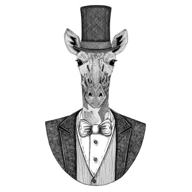 Camelopard, zürafa. Papyon ve ipek şapka, kunduz şapka, silindir şapka ile ceket hayvan. Zarif vintage hayvan. Dövme, t-shirt, amblem, rozet, logo, yama için görüntü