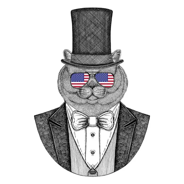 Un gatto inglese. Giacca con papillon e cappello di seta, cappello di castoro, cilindro a cilindro. Elegante animale d'epoca. Immagine per tatuaggio, t-shirt, emblema, distintivo, logo, patch — Foto Stock