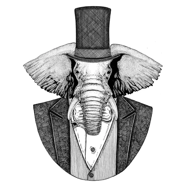 Elefante africano ou indiano. Jaqueta de uso animal com gravata borboleta e chapéu de seda, chapéu de castor, chapéu superior de cilindro. Elegante animal vintage. Imagem para tatuagem, t-shirt, emblema, emblema, logotipo, remendo — Fotografia de Stock