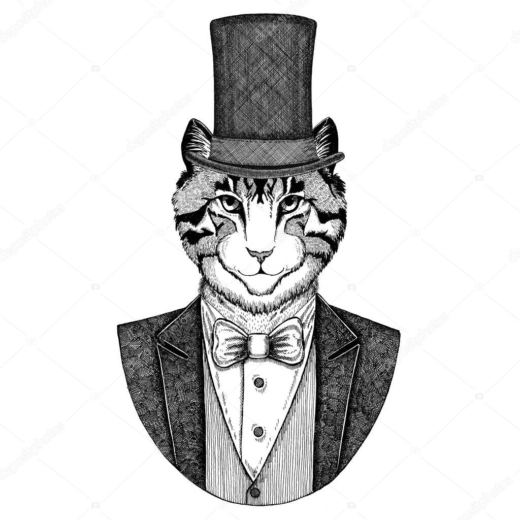 Image of domestic cat. Animal wearing jacket with bow-tie and silk hat, beaver hat, cylinder top hat. Elegant vintage animal. Image for tattoo, t-shirt, emblem, badge, logo, patch