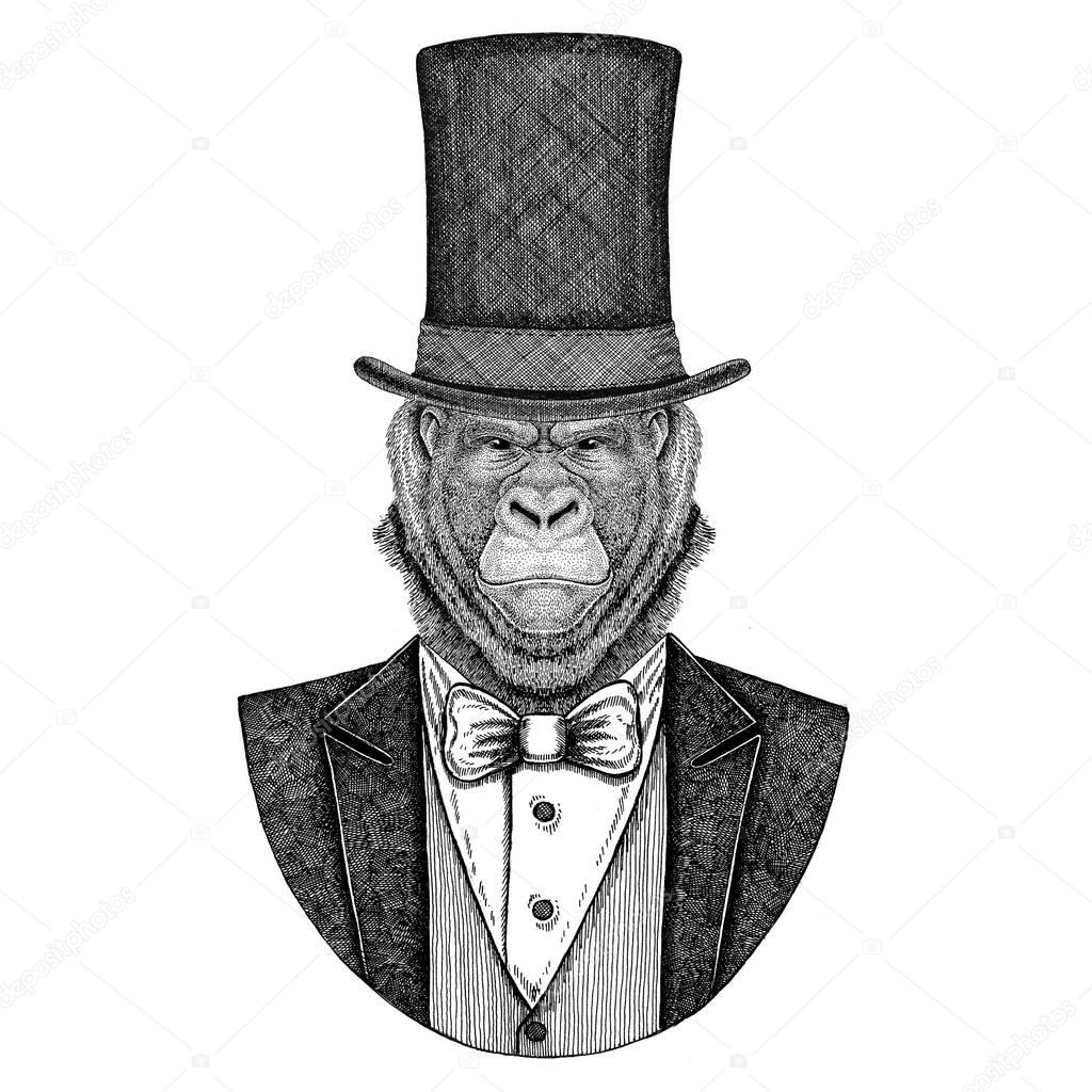 Gorilla, monkey, ape. Animal wearing jacket with bow-tie and silk hat, beaver hat, cylinder top hat. Elegant vintage animal. Image for tattoo, t-shirt, emblem, badge, logo, patch
