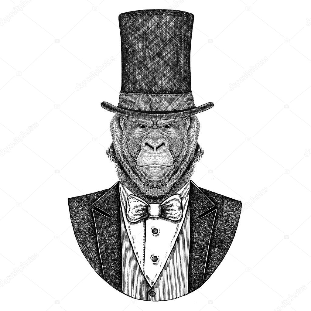 Animal wearing jacket with bow-tie and silk hat, beaver hat, cylinder top hat. Elegant vintage animal. Image for tattoo, t-shirt, emblem, badge, logo, patch