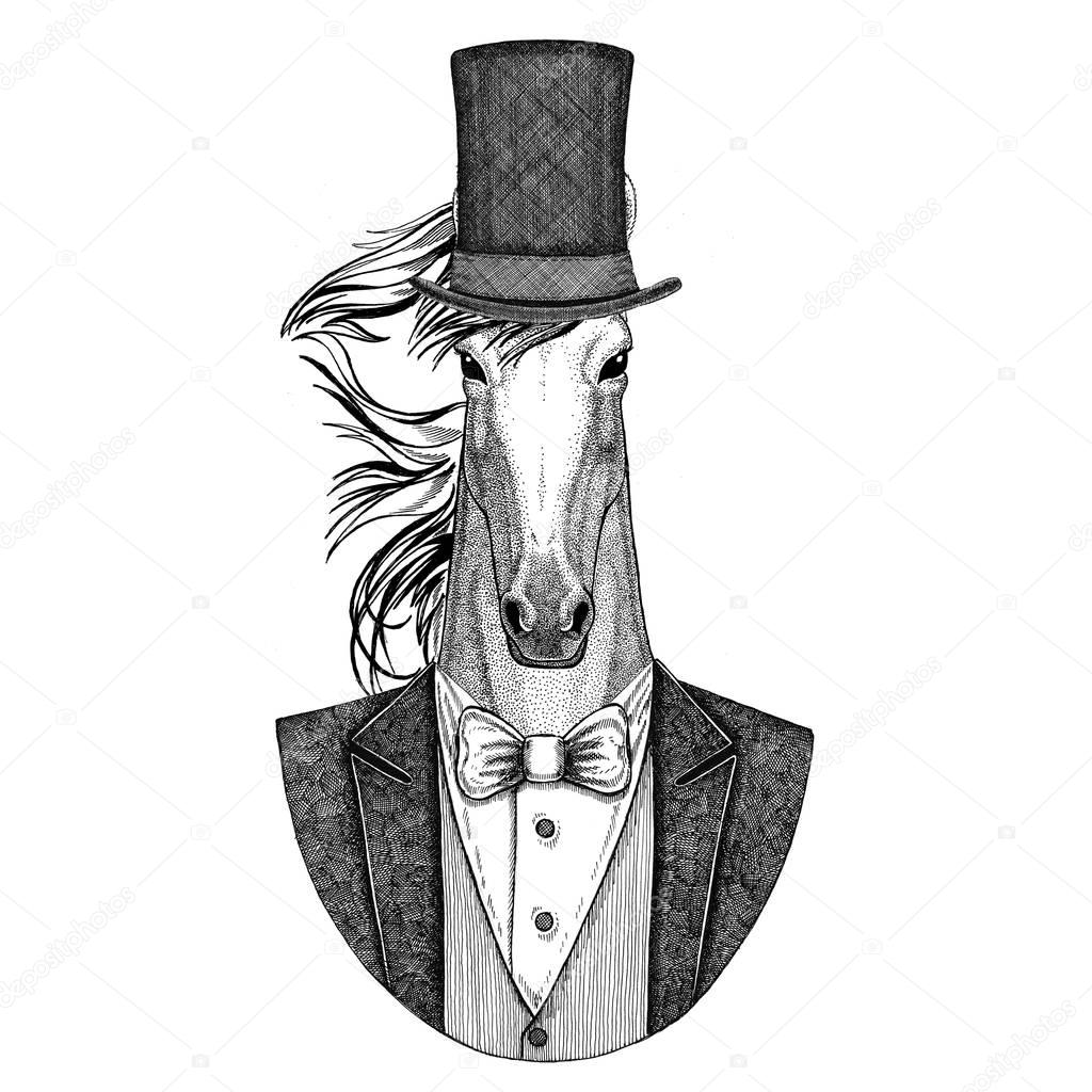 Horse, hoss, knight, steed, courser. Animal wearing jacket with bow-tie and silk hat, beaver hat, cylinder top hat. Elegant vintage animal. Image for tattoo, t-shirt, emblem, badge, logo, patch
