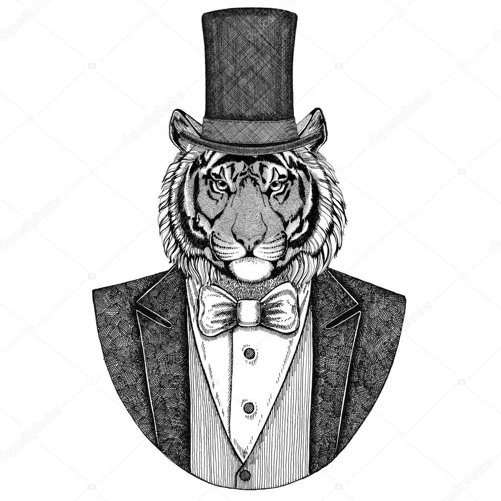 Wild tiger. Animal wearing jacket with bow-tie and silk hat, beaver hat, cylinder top hat. Elegant vintage animal. Image for tattoo, t-shirt, emblem, badge, logo, patch