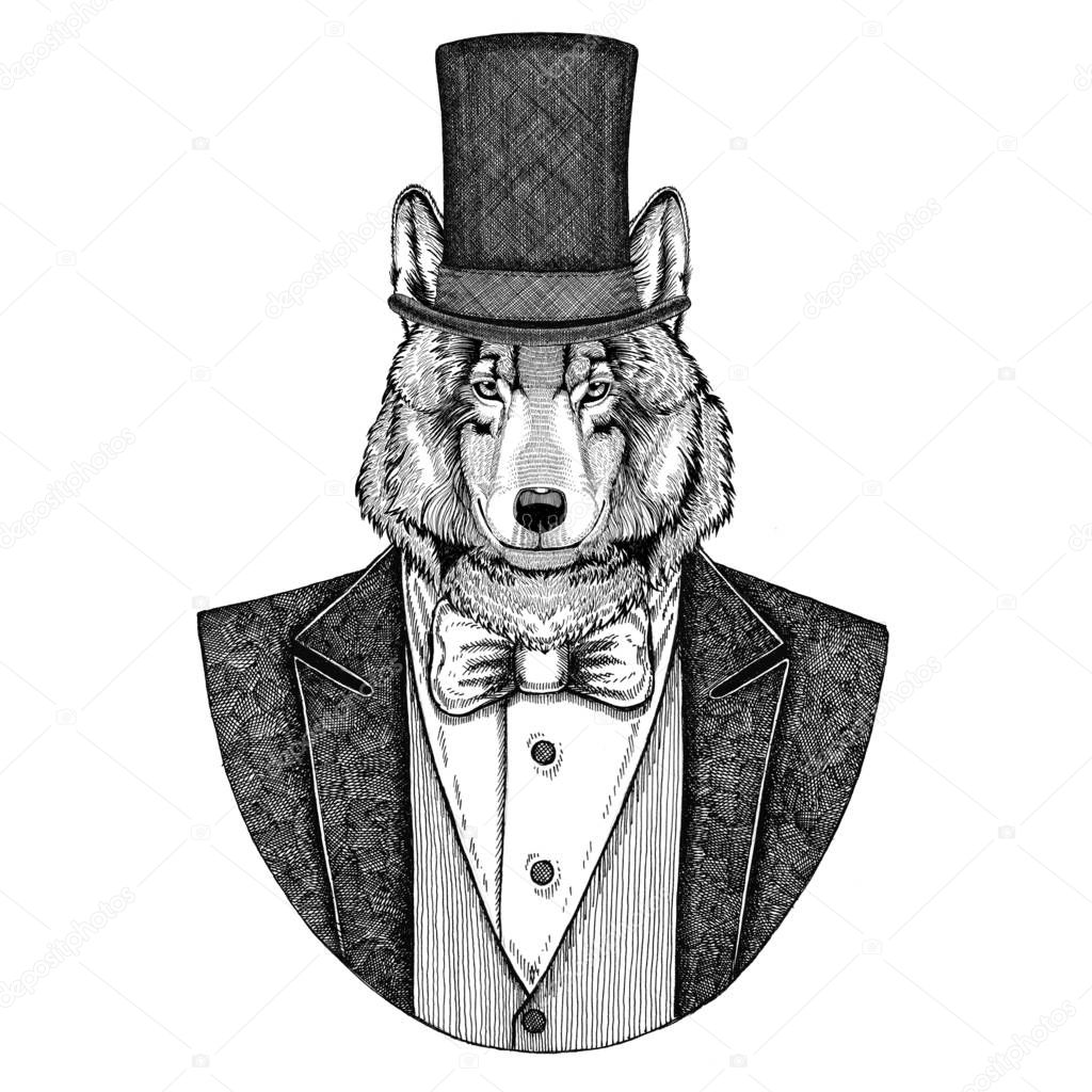 Animal wearing jacket with bow-tie and silk hat, beaver hat, cylinder top hat. Elegant vintage animal. Image for tattoo, t-shirt, emblem, badge, logo, patch