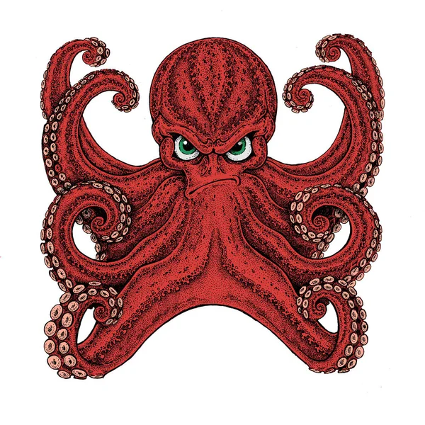 Pulpo. Personaje de dibujos animados Vintage —  Fotos de Stock