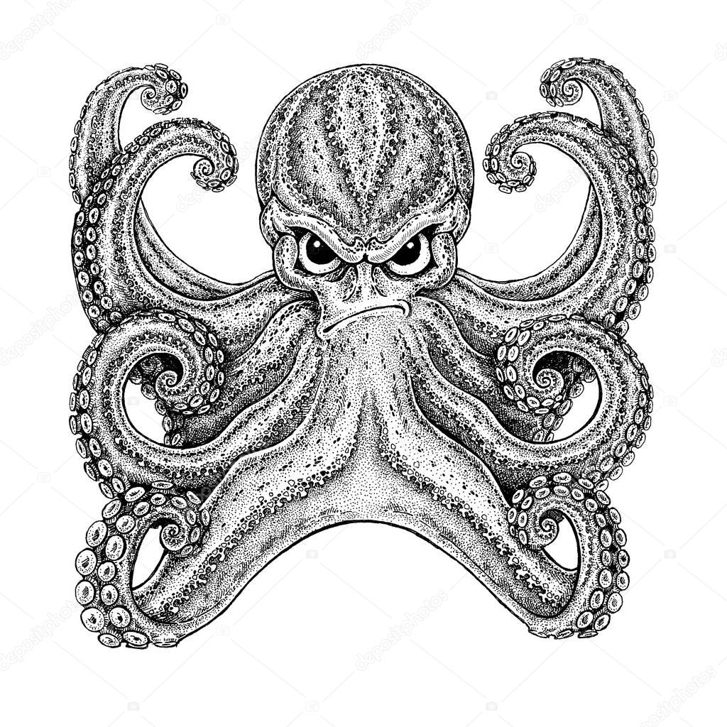 Octopus. Vintage cartoon character