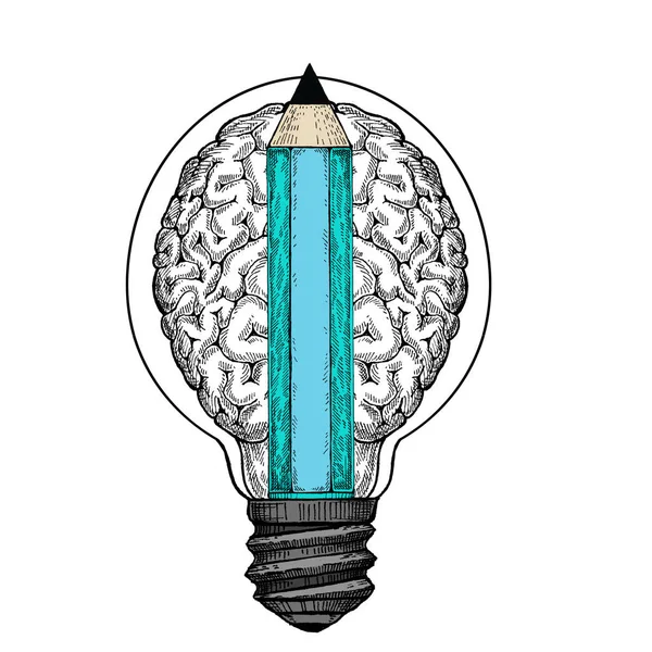 Творческий подход. Воображение. Концепция творчества. Лампочка и мозг. Хорошая идея. Образование и обучение . — стоковое фото