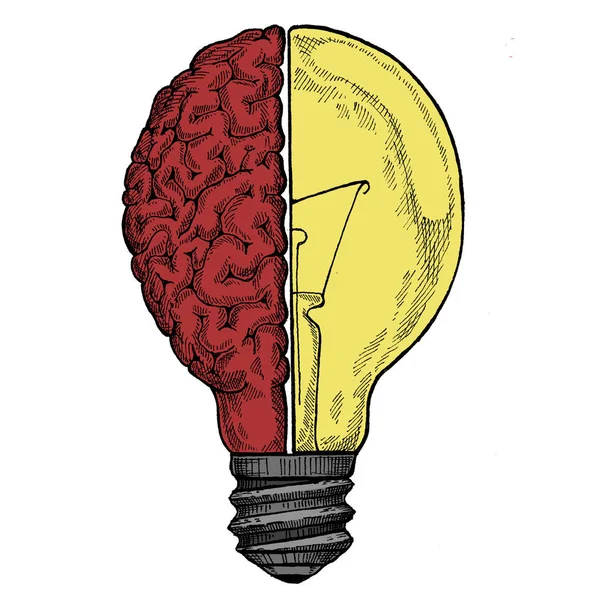 Творческий подход. Воображение. Концепция творчества. Лампочка и мозг. Хорошая идея. Образование и обучение . — стоковое фото