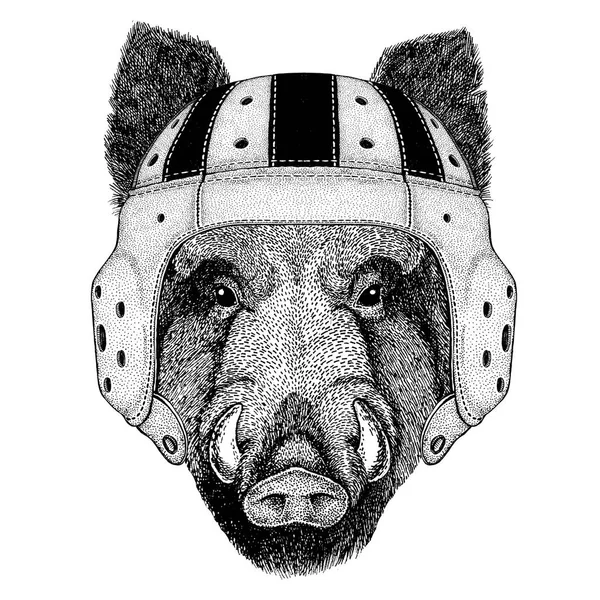 Aper, javali, porco, porco, javali Wild animal vestindo capacete de rugby Ilustração do esporte —  Vetores de Stock