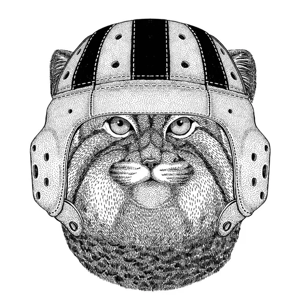 Wild cat Manul Animal salvaje con casco de rugby Ilustración deportiva — Archivo Imágenes Vectoriales