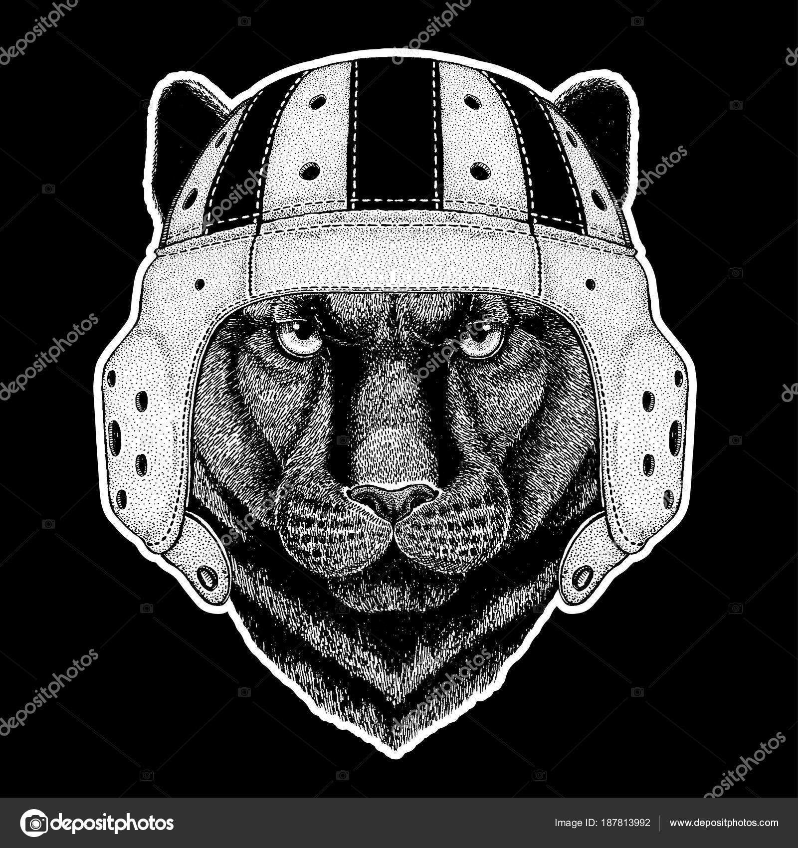parches puma parches puma