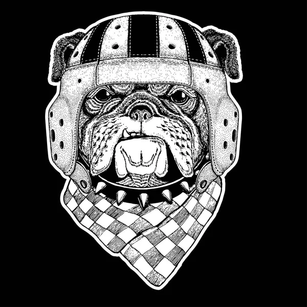 Rugbyspeler. Bulldog Hand drawn vintage afbeelding voor t-shirt, tatoeage, embleem, badge, logo, patch — Stockvector