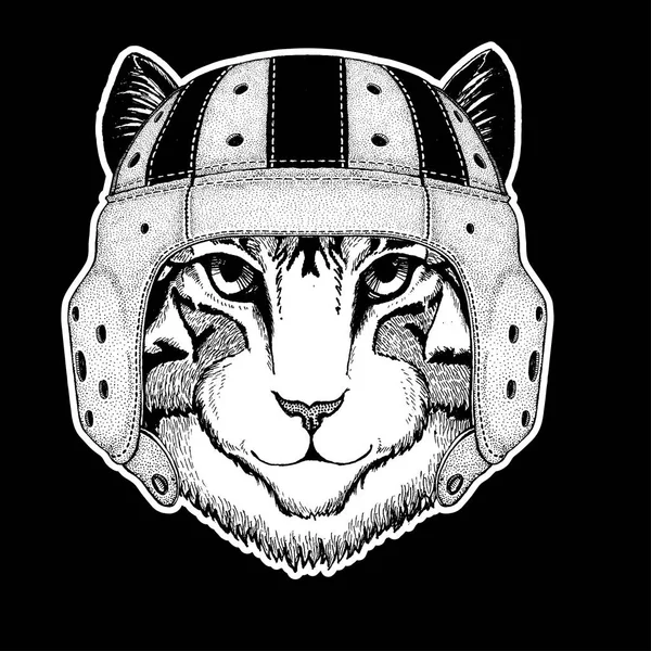 Jugador de rugby. Imagen de gato doméstico ilustración dibujada a mano para tatuaje, emblema, insignia, logotipo, parche, camiseta — Vector de stock