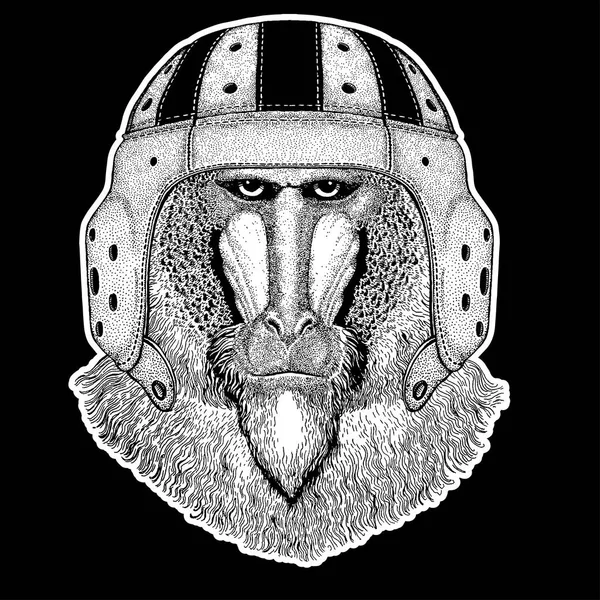 Rugby oyuncusu. Maymun, maymun, köpek-maymun, maymun el çizilmiş resim dövme, amblem, rozet, logo, yama için