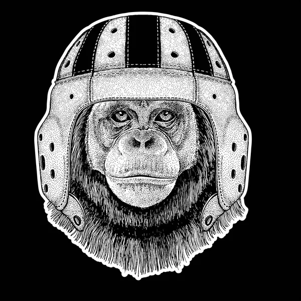 Rugbyspeler. Chimpansee Monkey Hand drawn illustratie voor tattoo, badge, embleem, logo, patch, t-shirt — Stockvector