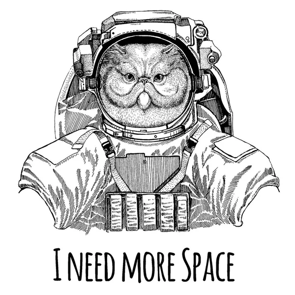Retrato de gato persa esponjoso Astronauta. Traje espacial. Imagen dibujada a mano de león para tatuaje, camiseta, emblema, insignia, logotipo parche kindergarten cartel ropa de los niños — Vector de stock