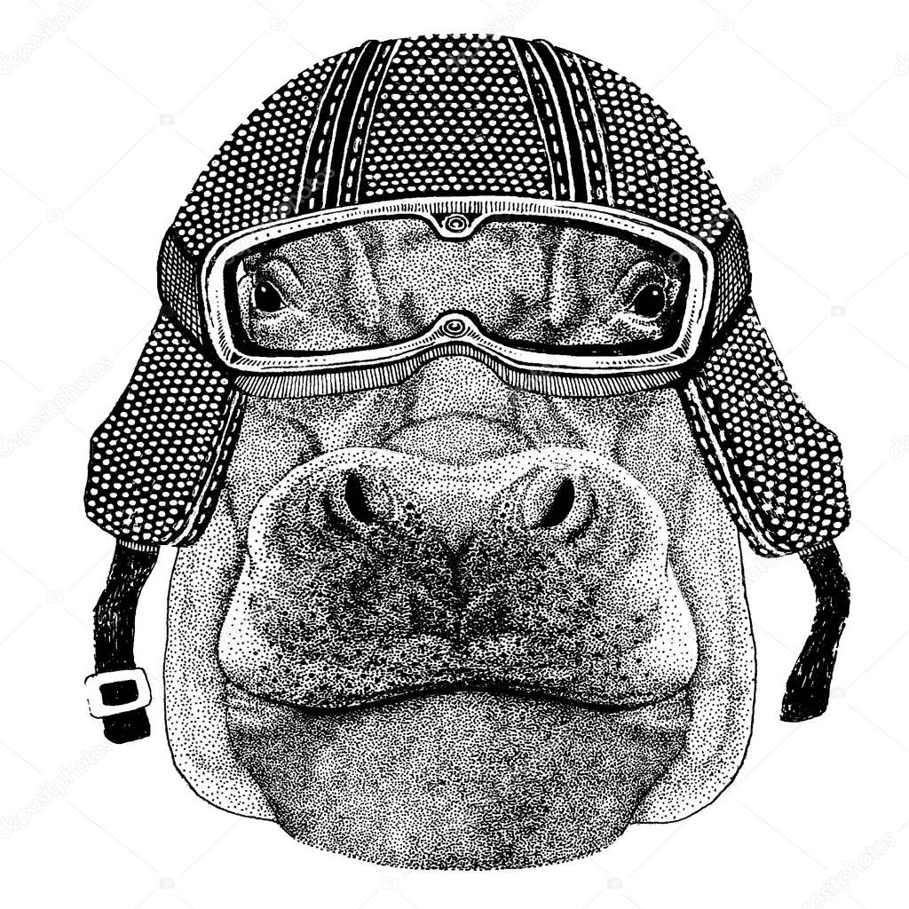 Behemoth, hippo with motorcycle helmet. Vintage motorcycle headdress. Illustration for children, kindergarten kids. Print for children shirt, clothing, tattoo, emblem, badge, logo, patch, t-shirt