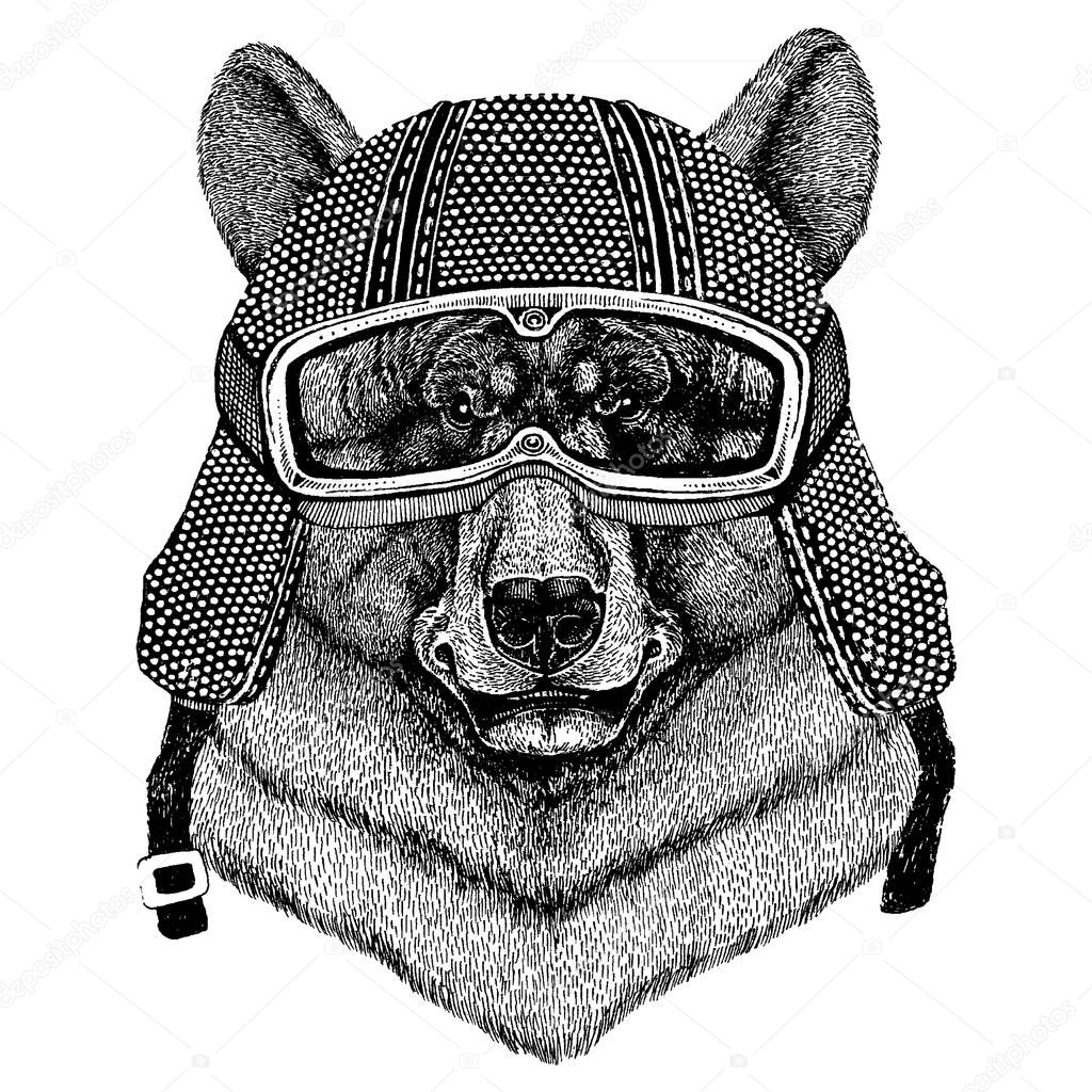 bear on a motorcycle