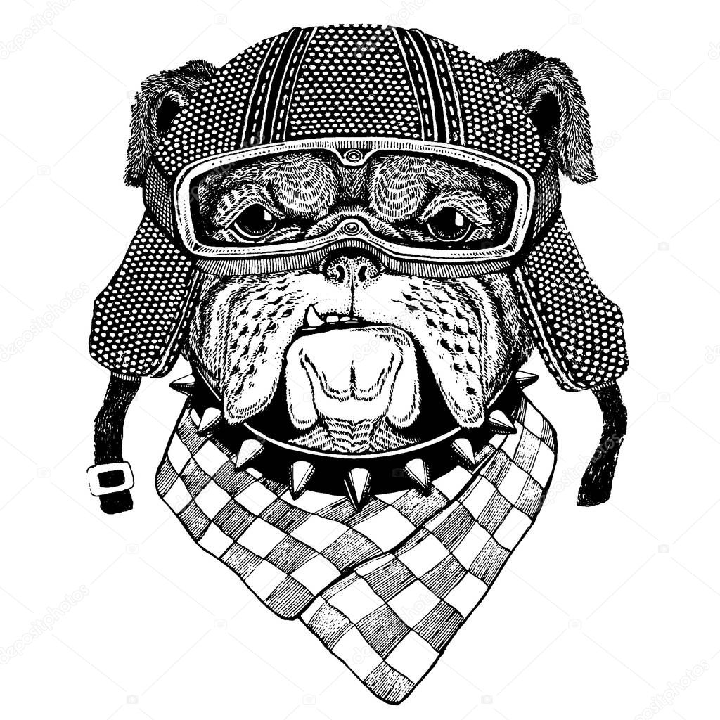 Animal wearing motorycle helmet. Image for kindergarten children clothing, kids. T-shirt, tattoo, emblem, badge, logo patch
