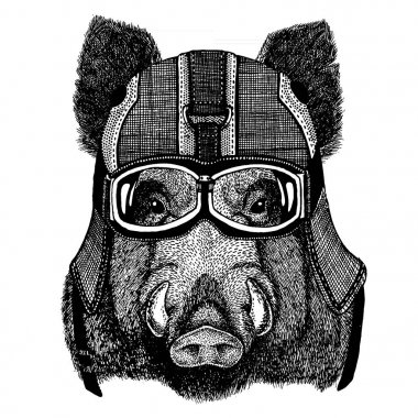 Wild hog, pig, aper, boar. Animal wearing motorycle helmet. Image for kindergarten children clothing, kids. T-shirt, tattoo, emblem, badge, logo, patch clipart