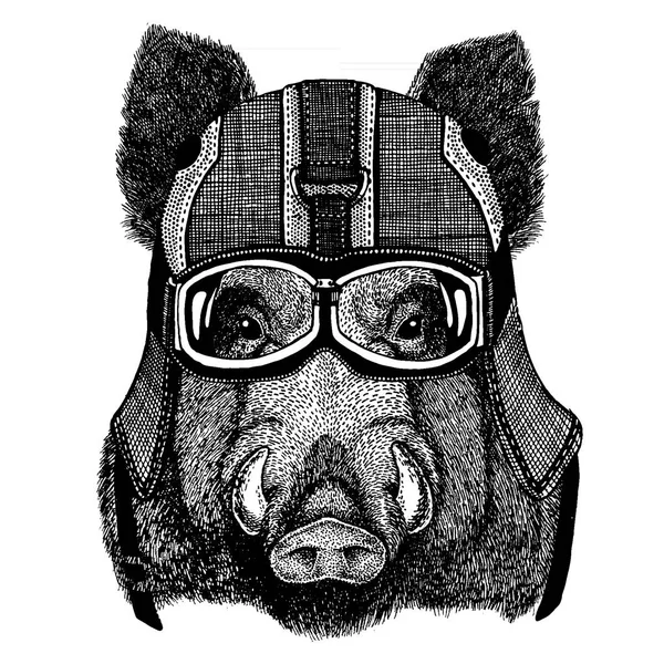 Porc sauvage, porc, couche, sanglier. Casque de moto pour animaux. Image pour la maternelle vêtements pour enfants, les enfants. T-shirt, tatouage, emblème, badge, logo, patch — Image vectorielle