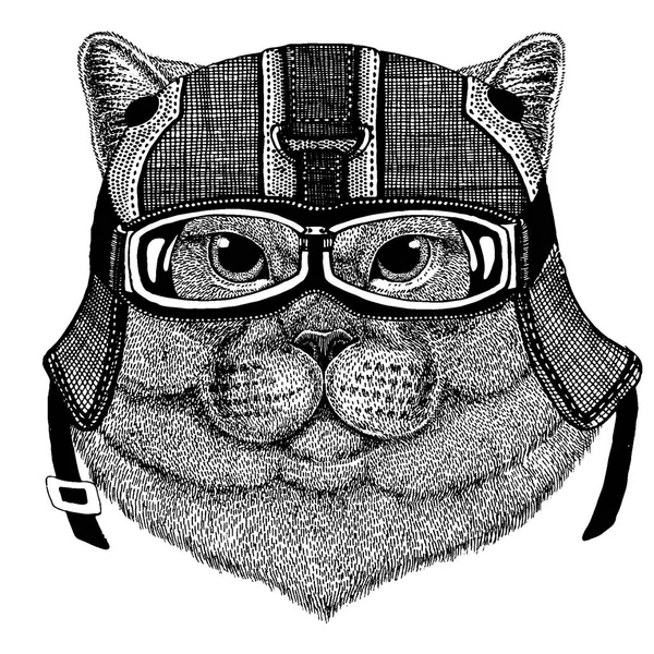 Γάτα, βρετανίδα γάτα. Ζώο φορώντας κράνος μοτοσικλέτας. Εικόνα για παιδικά ρούχα νηπιαγωγείου, παιδιά. T-shirt, τατουάζ, έμβλημα, σήμα, λογότυπο, έμπλαστρο — Διανυσματικό Αρχείο