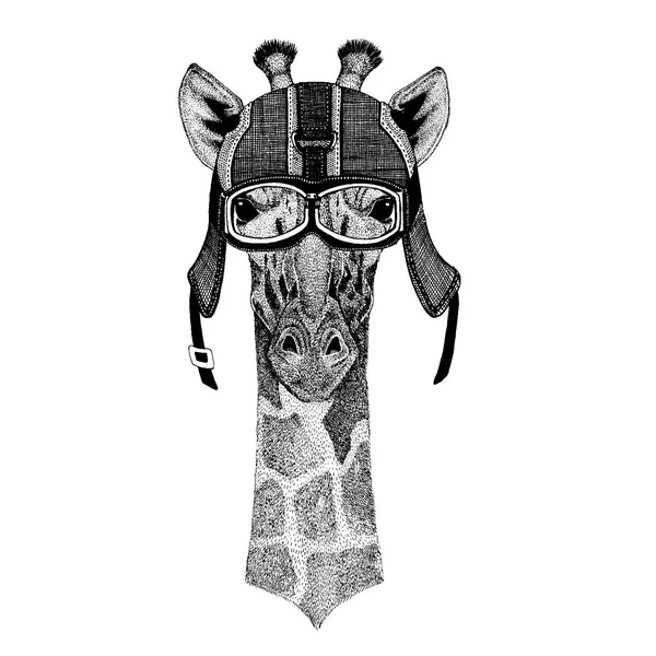 Camelopard, girafa animal Hipster usando capacete de motocicleta. Imagem para crianças do jardim de infância roupas, crianças. T-shirt, tatuagem, emblema, emblema, logotipo, remendo — Vetor de Stock