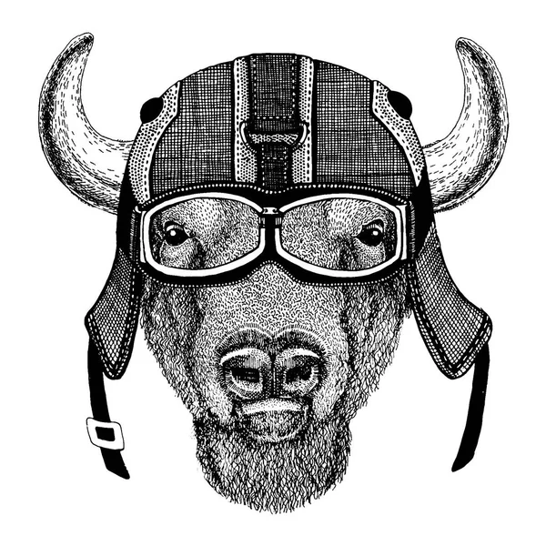 Buvola, bizona, vola Hipster zvíře s motorkářskou helmou. Obrázek pro dětské oblečení ve školce, děti. Tričko, tetování, znak, odznak, logo, náplast — Stockový vektor